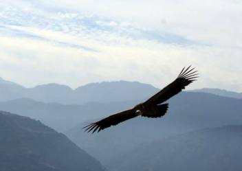 Experiencing the Monsoon in Nepal