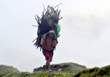 Nepal nomad