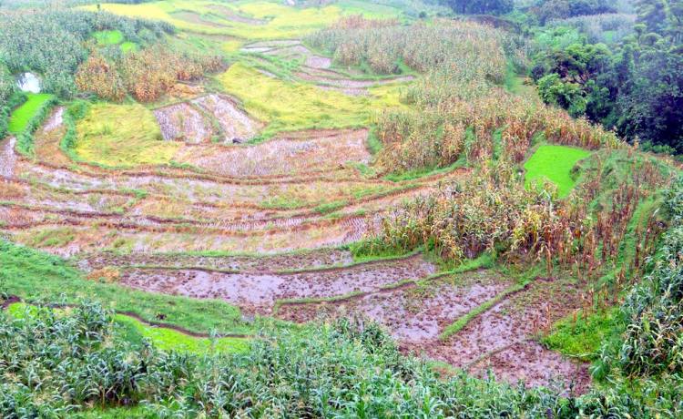 Ganesh Himal and the Ruby Valley