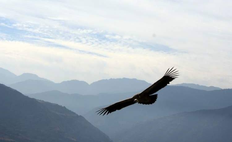 Paragliding in Nepal