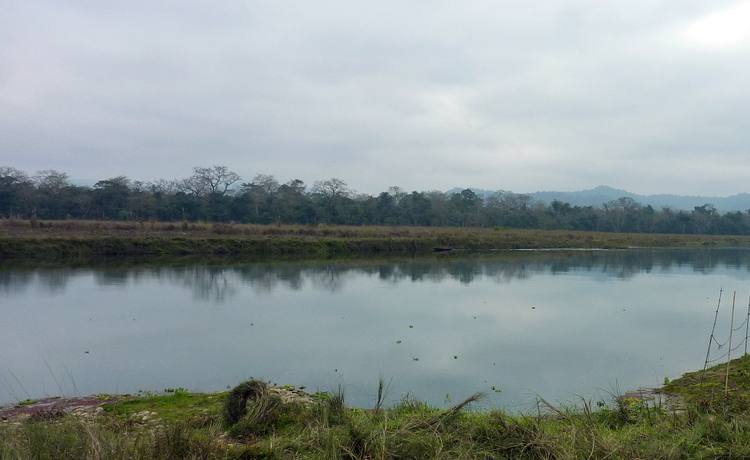 Chitwan Jungle Safari