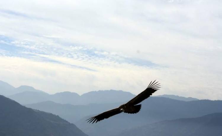 Namaste from Nepal's Himalayan Paradise