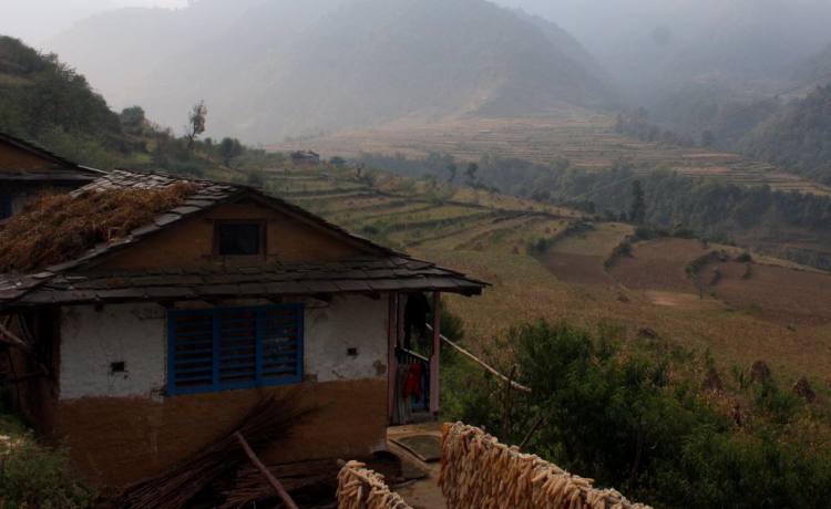 Truffles in Nepal?